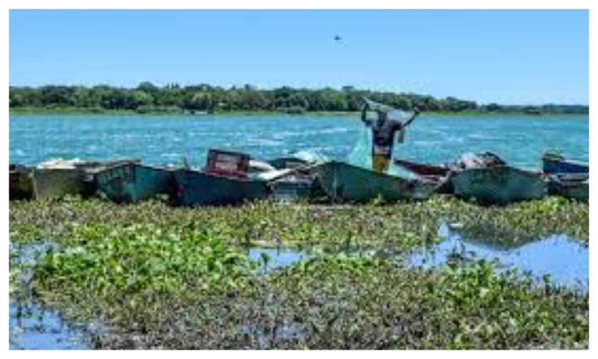 MixCollage-13-Mar-2025-02-18-PM-3112 WARWICKSHIRE FARM RESIDENTS PLEAD FOR INCLUSION