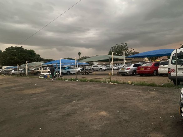 Madzibaba Chipanga Removes Fleets of Cars from Enterprise Car Sale Amid Tensions
