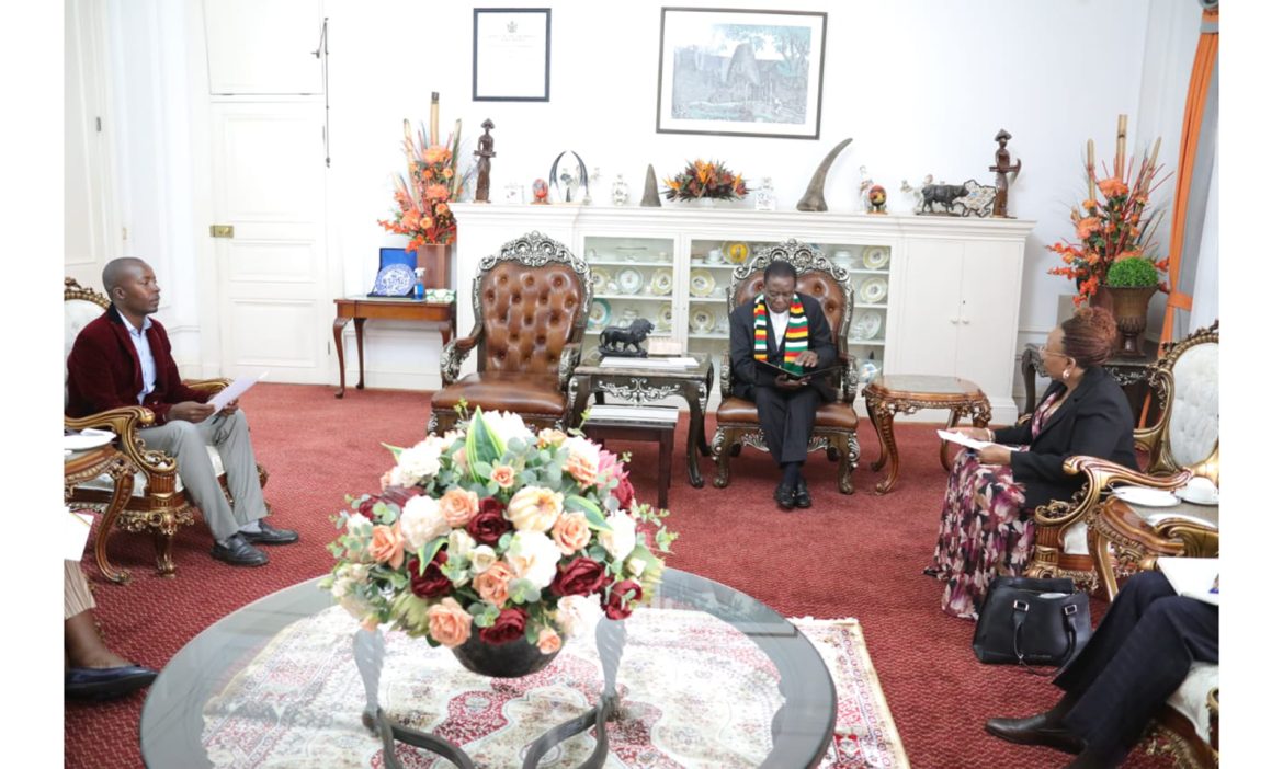 Mnangagwa Calls for Action to Address Issues Affecting Zimbabwe's Informal Sector