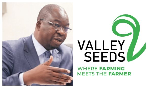 Valley Seeds' US$20 Million Loan Under Scrutiny Due to Alleged Corruption