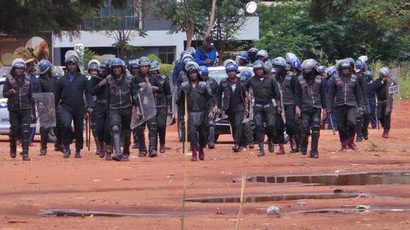 Harare Protest Sparks Nationwide Debate on Political Repression and Freedom of Assembly