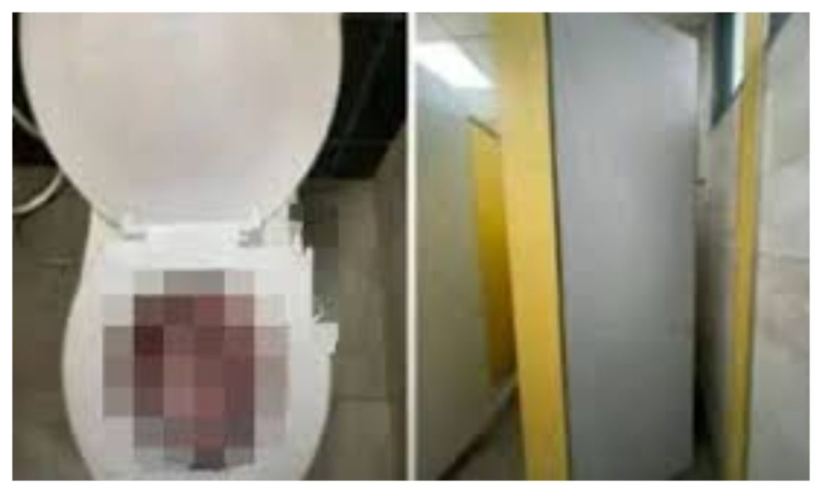 MixCollage-26-May-2025-06-50-PM-2621 Gokwe Woman Arrested for Concealing Birth, Baby's Body Recovered from Disused Toilet